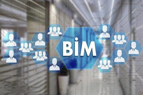 BIM造價咨詢服務的應用 從信息整合到價值創造