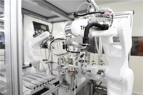 小膠囊沿西部陸海新通道遠航，數字技術賦能重慶企業造福全球